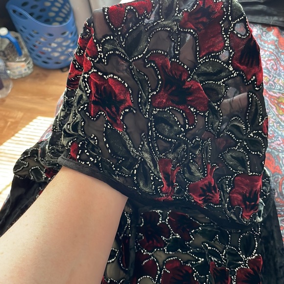 Vampire or Medieval Velvet Dress with Hood and Beading One Size - Picture 2 of 6